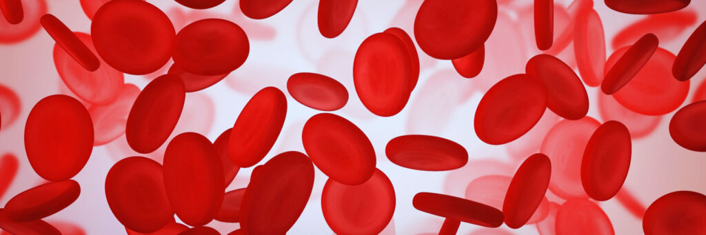 Blood Types banner